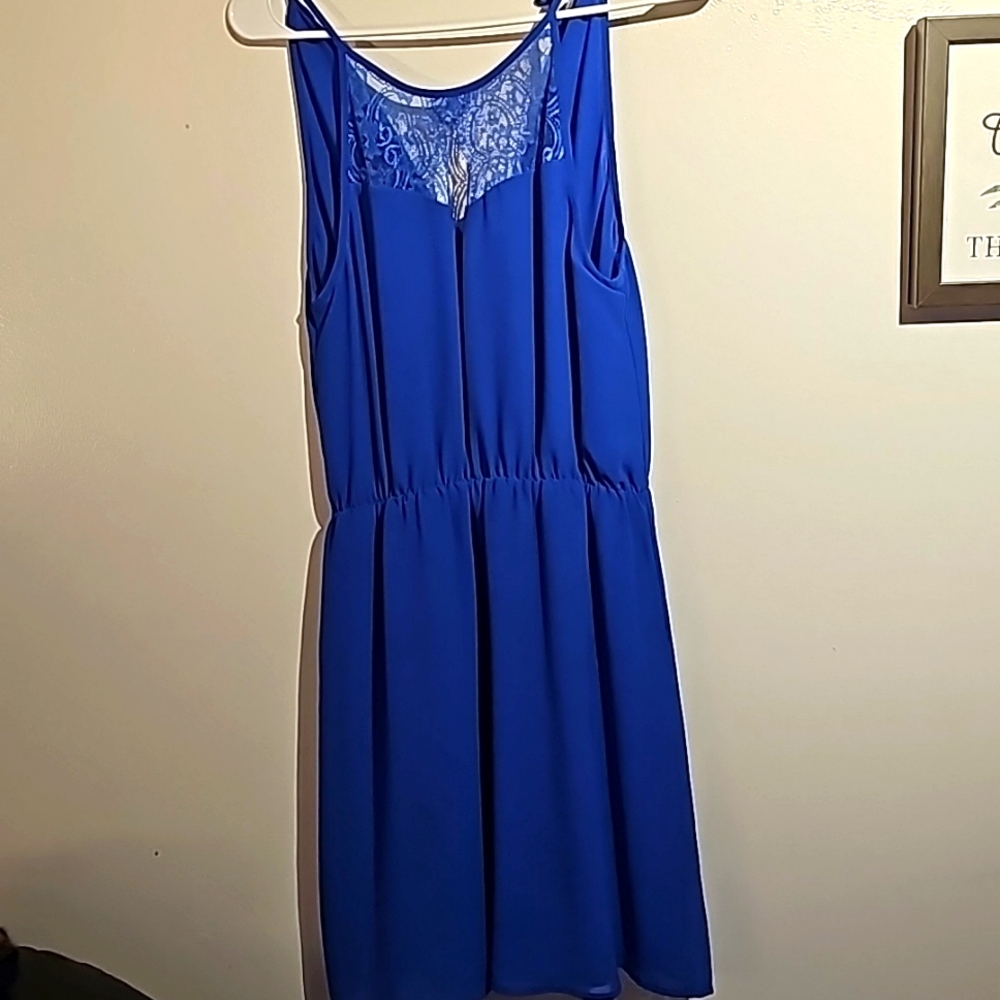 Naked Zebra Blue Dress
